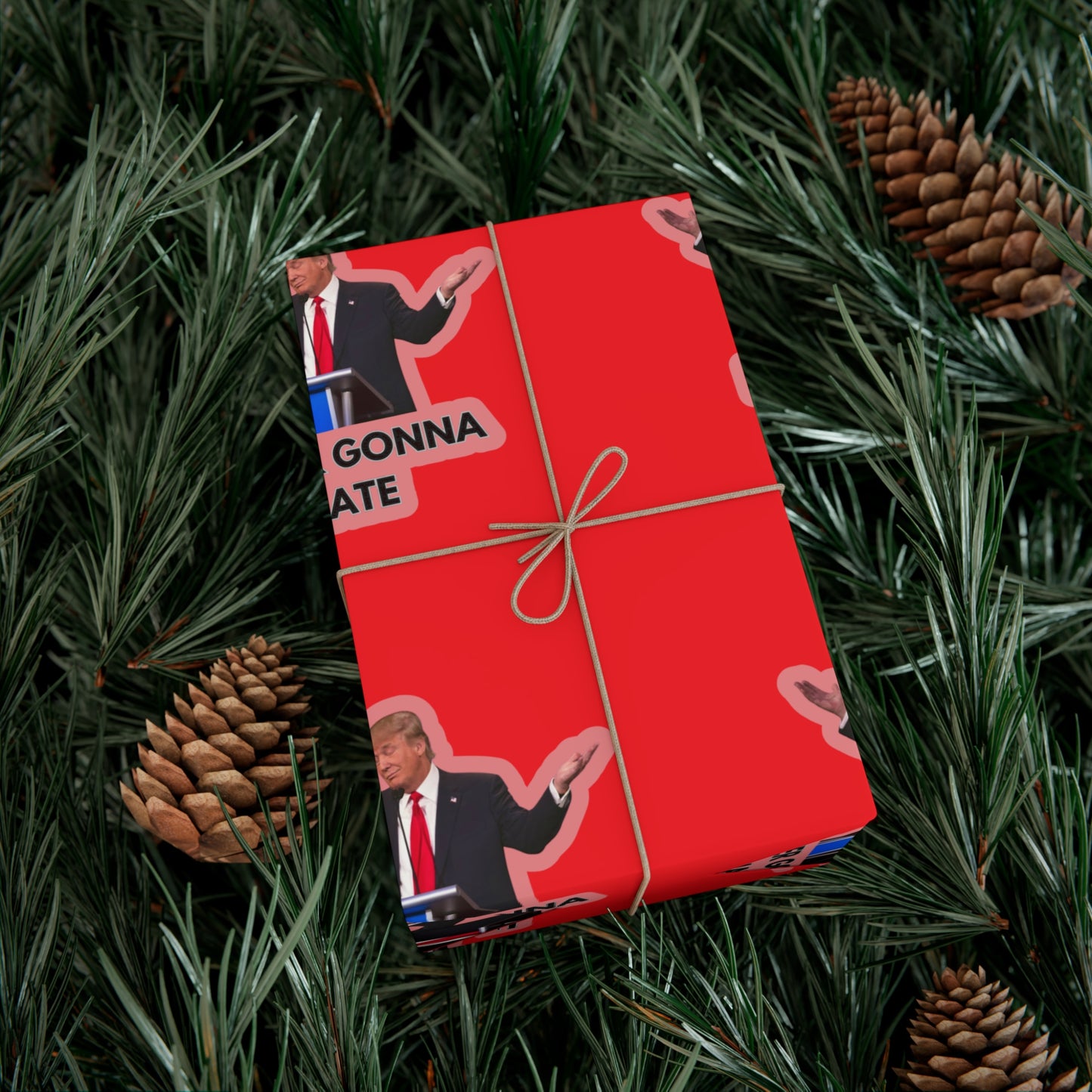 Trump "Haters gonna hate" wrapping paper.