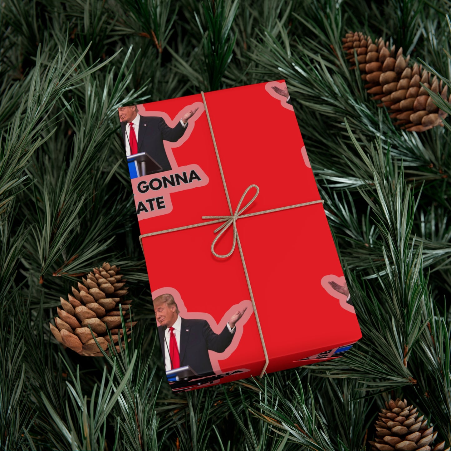 Trump "Haters gonna hate" wrapping paper.