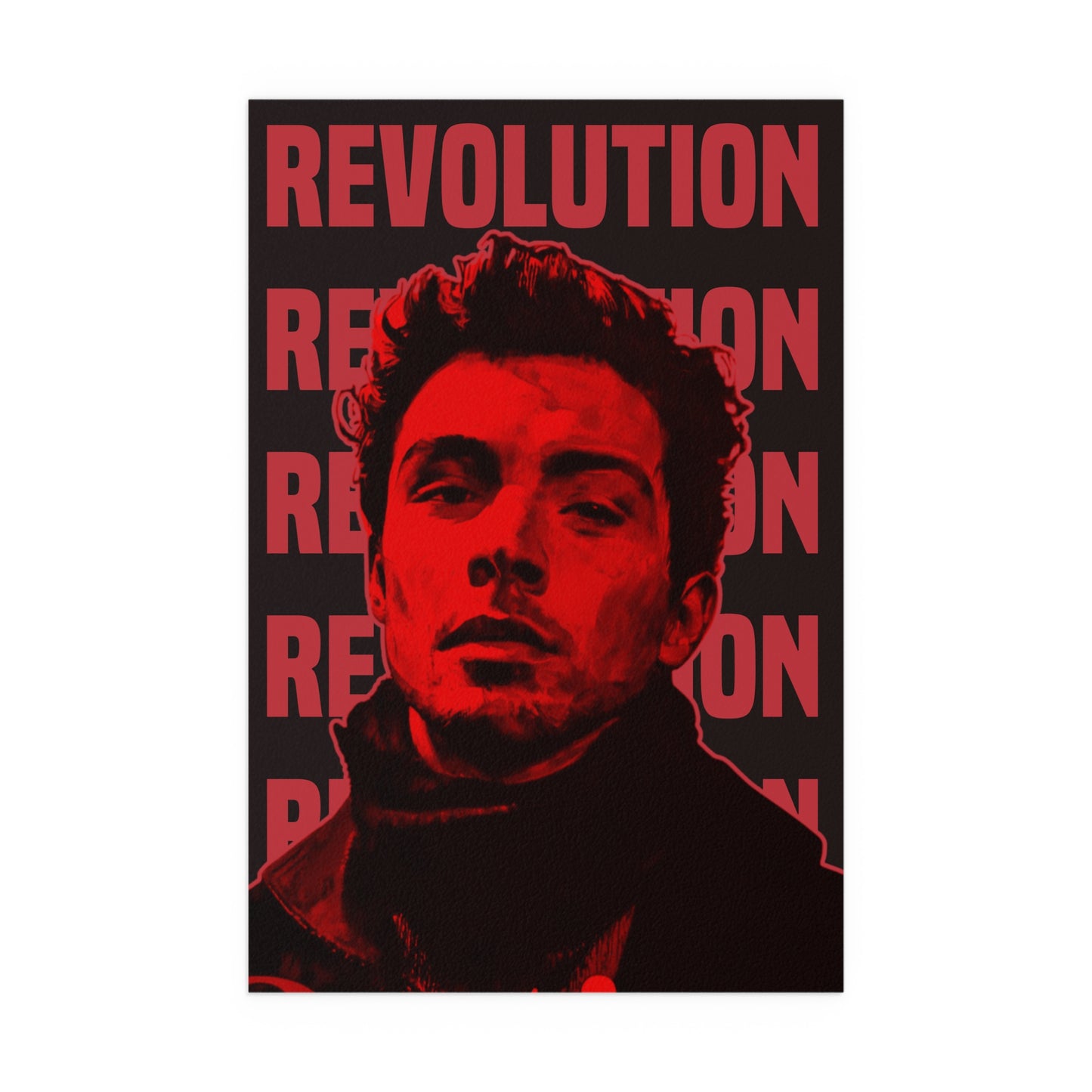 Luigi Mangione - Revolution poster